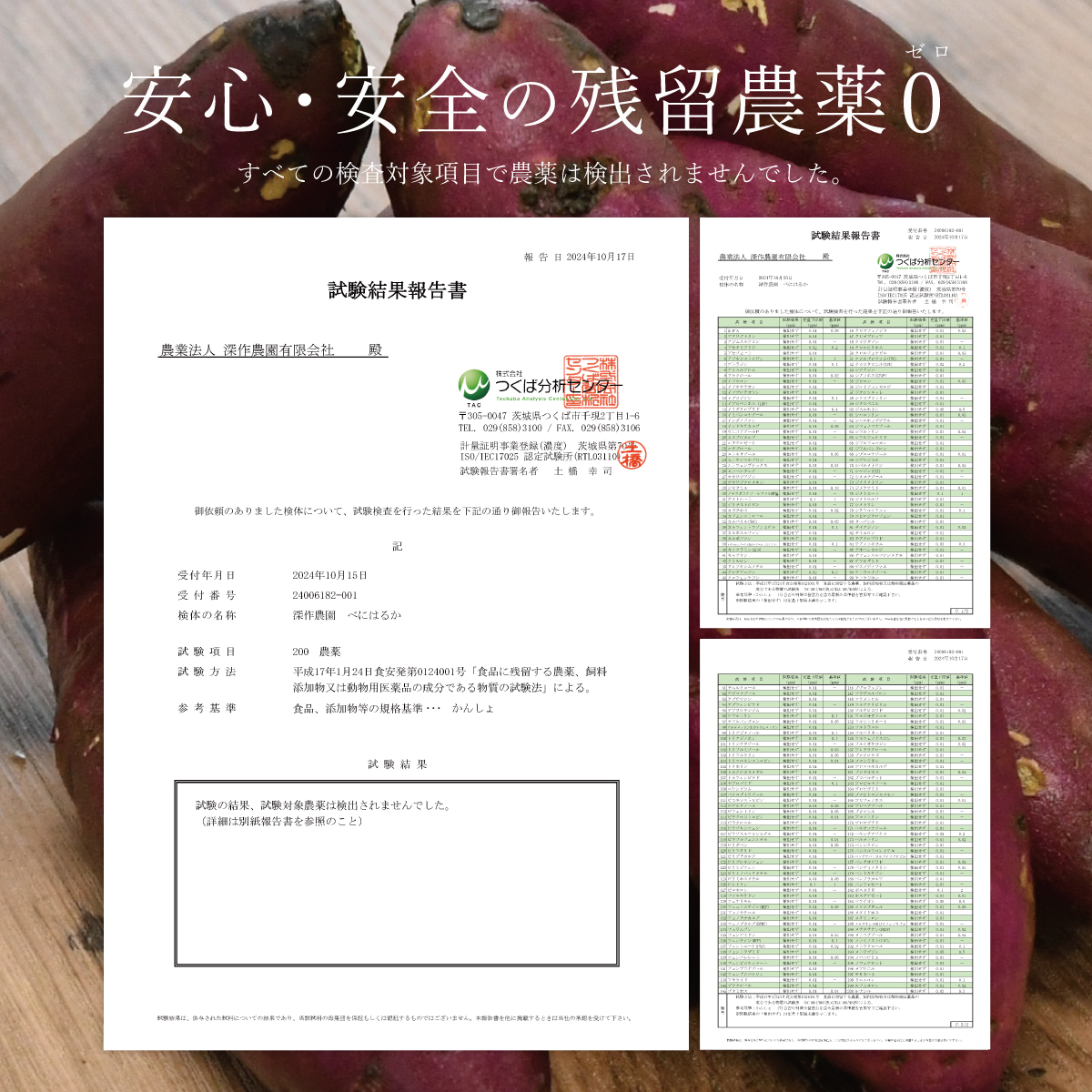 干し芋 国産 茨城県産 紅はるか 角切り スティック 丸干し 平干し