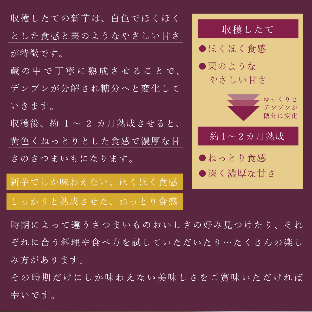 焼き芋 国産 茨城県産 紅はるか 冷凍